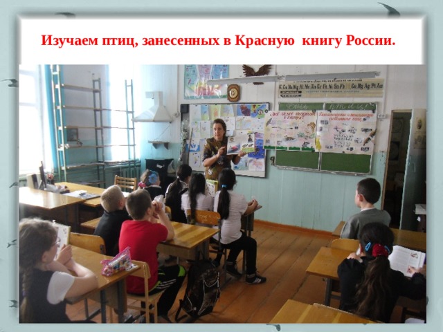 Изучаем птиц, занесенных в Красную книгу России. 