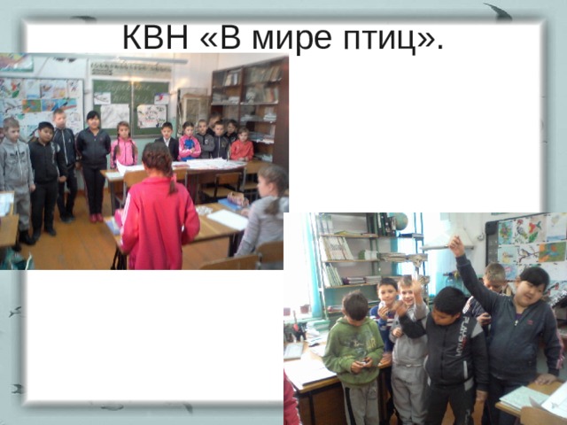 КВН «В мире птиц». 