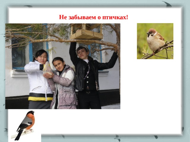 Не забываем о птичках! 