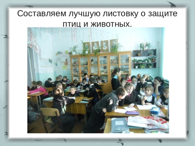 Составляем лучшую листовку о защите птиц и животных. 