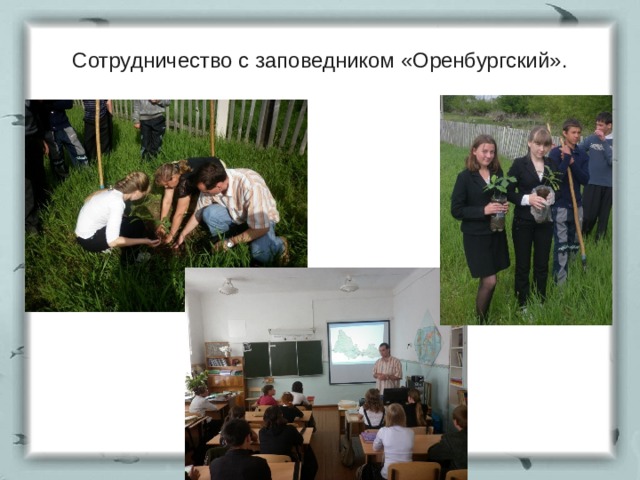 Сотрудничество с заповедником «Оренбургский». 