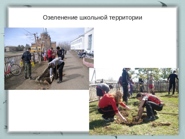 Озеленение школьной территории 
