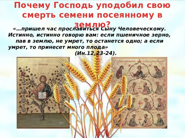 Почему Господь уподобил свою смерть семени посеянному в землю? «…пришел час прославиться Сыну Человеческому. Истинно, истинно говорю вам: если пшеничное зерно, пав в землю, не умрет, то останется одно; а если умрет, то принесет много плода» (Ин.12,23-24). Изображение: http://static3.depositphotos.com/1000888/129/v/950/depositphotos_1295703-Ears-of-wheat.jpg  