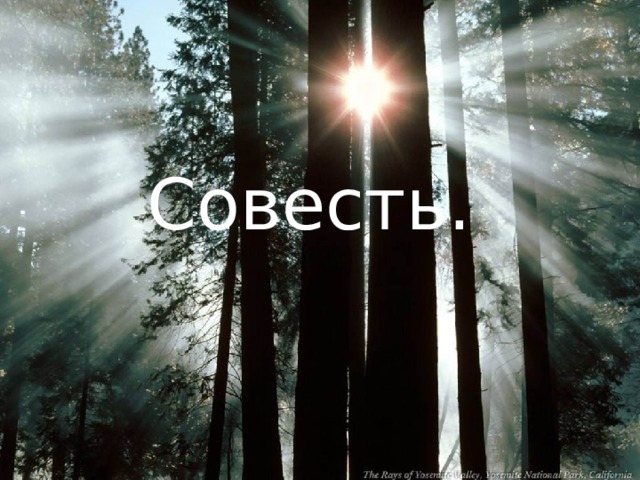 Совесть. 