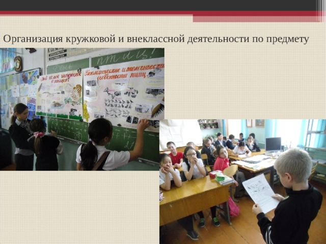 Организация кружковой и внеклассной деятельности по предмету 