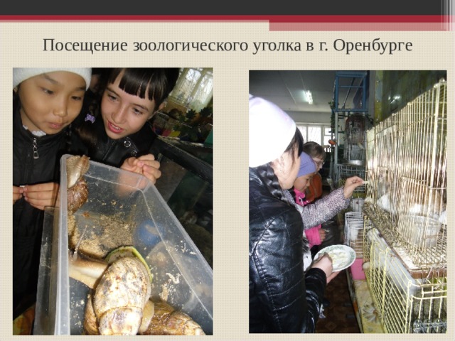 Посещение зоологического уголка в г. Оренбурге 