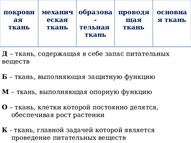   механическая ткань покровная ткань    образова-  проводящая ткань тельная   ткань основная ткань   Д – ткань, содержащая в себе запас питательных веществ Б – ткань, выполняющая защитную функцию М – ткань, выполняющая опорную функцию О – ткань, клетки которой постоянно делятся, обеспечивая рост растении К - ткань, главной задачей которой является проведение питательных веществ 