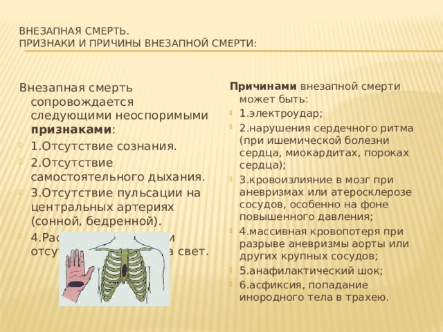 Внезапная смерть.  Признаки и причины внезапной смерти:   Внезапная смерть сопровождается следующими неоспоримыми признаками : Причинами внезапной смерти может быть: 1.Отсутствие сознания. 2.Отсутствие самостоятельного дыхания. 3.Отсутствие пульсации на центральных артериях (сонной, бедренной). 4.Расширение зрачка и отсутствие реакции на свет. 1.электроудар; 2.нарушения сердечного ритма (при ишемической болезни сердца, миокардитах, пороках сердца); 3.кровоизлияние в мозг при аневризмах или атеросклерозе сосудов, особенно на фоне повышенного давления; 4.массивная кровопотеря при разрыве аневризмы аорты или других крупных сосудов; 5.анафилактический шок; 6.асфиксия, попадание инородного тела в трахею.   