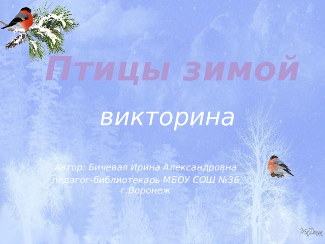 Птицы зимой викторина Автор: Бичевая Ирина Александровна педагог-библиотекарь МБОУ СОШ №36 г.Воронеж 