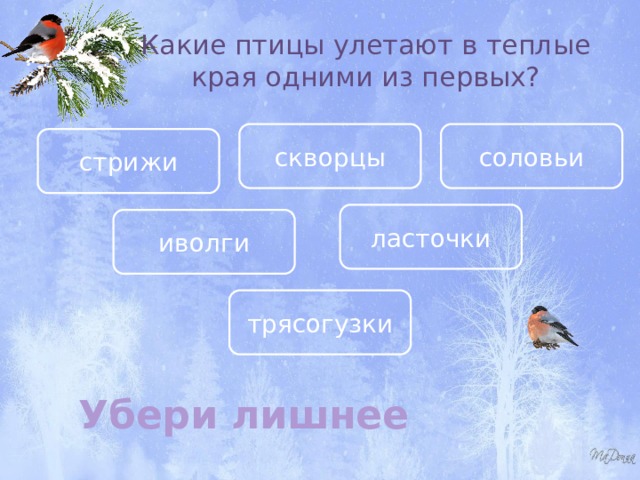 Какие птицы улетают в теплые края одними из первых? скворцы соловьи стрижи ласточки иволги трясогузки Убери лишнее 