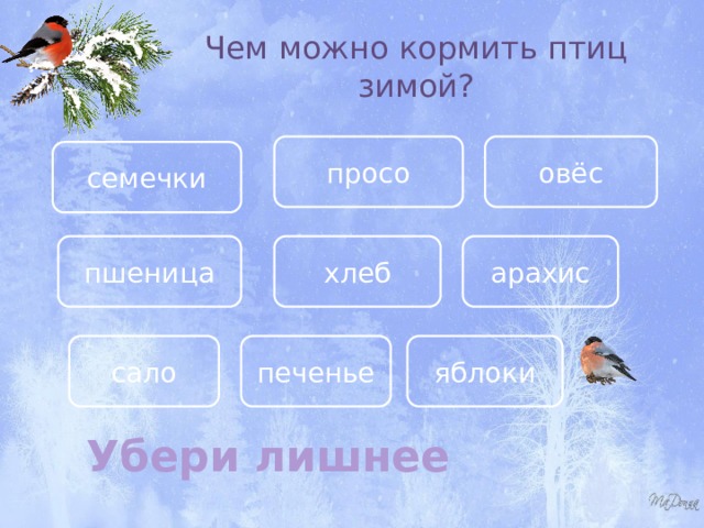 Чем можно кормить птиц зимой? просо овёс семечки пшеница хлеб арахис печенье сало яблоки Убери лишнее 
