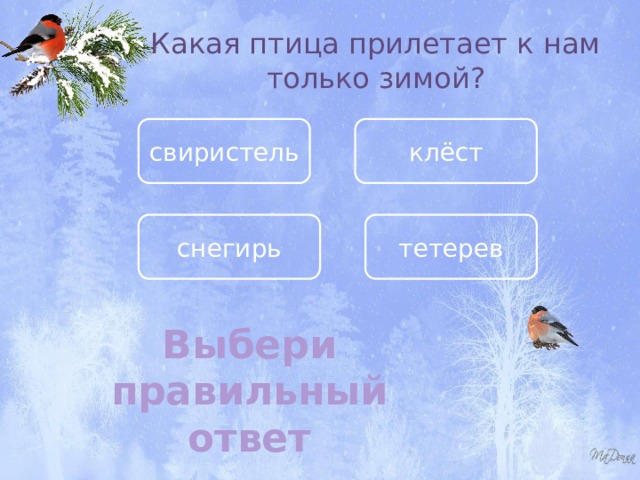 Какая птица прилетает к нам только зимой? свиристель клёст снегирь тетерев Выбери правильный ответ 