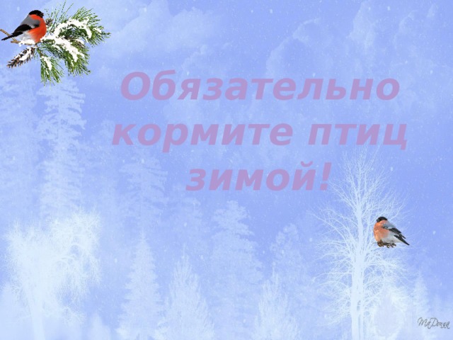 Обязательно кормите птиц зимой! 