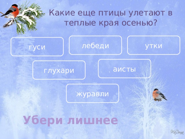 Какие еще птицы улетают в теплые края осенью? лебеди утки гуси аисты глухари журавли Убери лишнее 