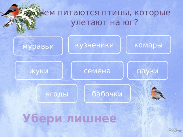 Чем питаются птицы, которые улетают на юг? кузнечики комары муравьи жуки пауки семена ягоды бабочки Убери лишнее 
