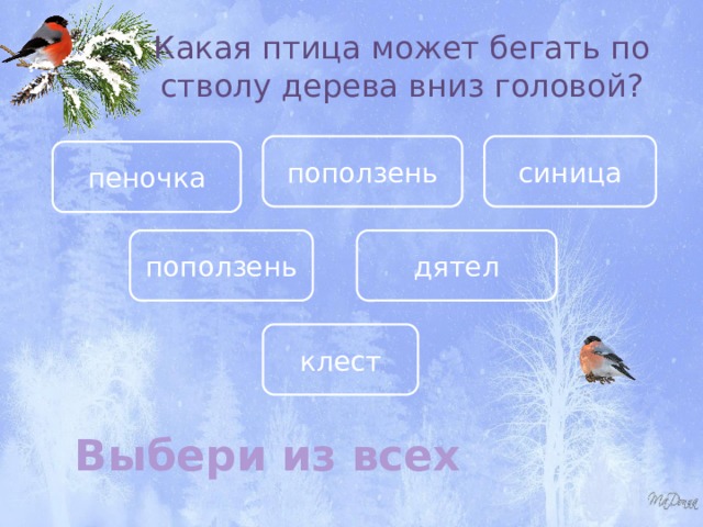 Какая птица может бегать по стволу дерева вниз головой? поползень синица пеночка поползень дятел клест Выбери из всех 