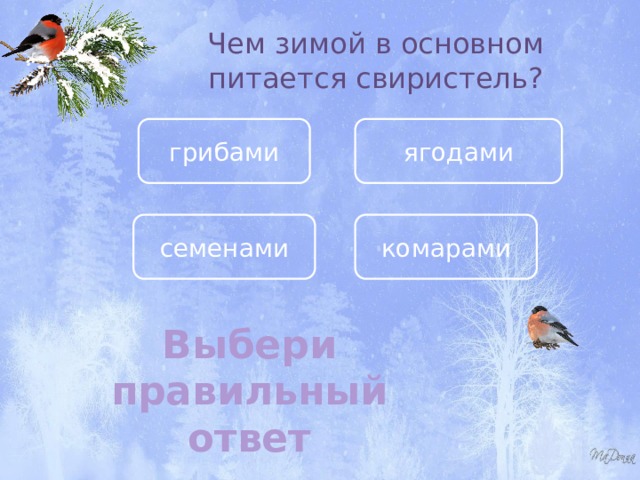 Чем зимой в основном питается свиристель? грибами ягодами семенами комарами Выбери правильный ответ 