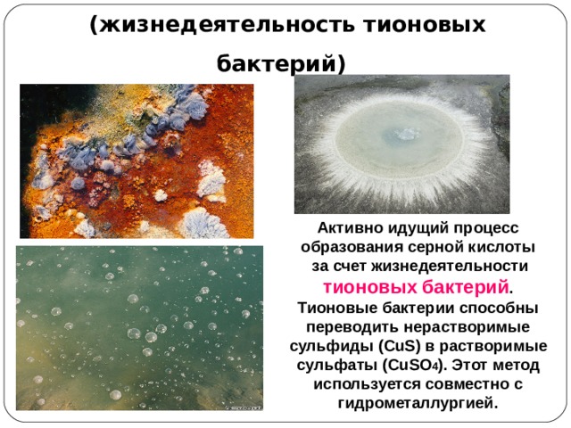   Микробиологические методы  (жизнедеятельность тионовых бактерий)  Активно идущий процесс образования серной кислоты   за счет жизнедеятельности тионовых бактерий . Тионовые бактерии способны переводить нерастворимые сульфиды ( CuS ) в растворимые сульфаты (CuSO 4 ) . Этот метод используется совместно с гидрометаллургией.  