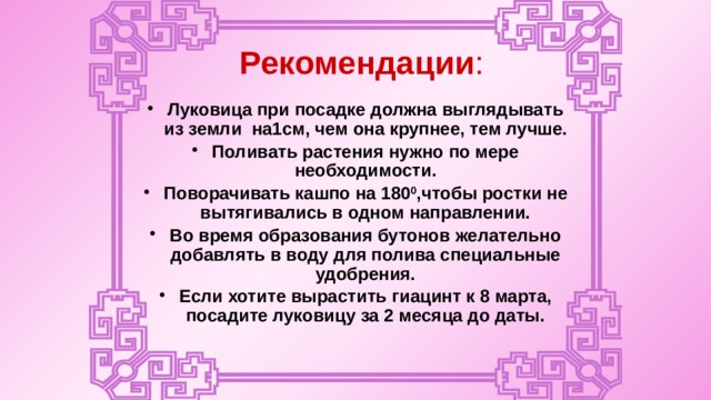 Рекомендации : Луковица при посадке должна выглядывать из земли на1см, чем она крупнее, тем лучше. Поливать растения нужно по мере необходимости. Поворачивать кашпо на 180 0 ,чтобы ростки не вытягивались в одном направлении. Во время образования бутонов желательно добавлять в воду для полива специальные удобрения. Если хотите вырастить гиацинт к 8 марта, посадите луковицу за 2 месяца до даты. 