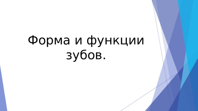 Форма и функции зубов. 