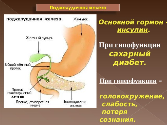 Основной гормон – инсулин . При гипофункции  сахарный диабет. При гиперфункции –  головокружение,  слабость,  потеря сознания. 