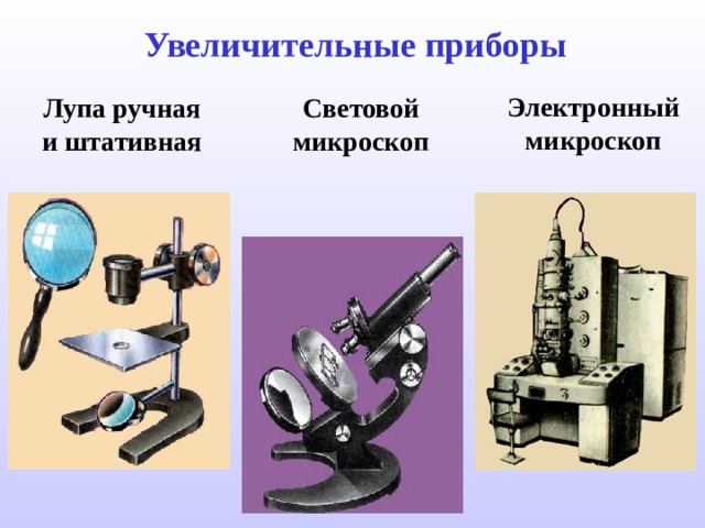 Увеличительные приборы Электронный микроскоп Лупа  ручная и штативная Световой микроскоп 