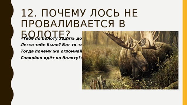 12. Почему лось не проваливается в болоте? «Тебе по болоту ходить довелось? Легко тебе было? Вот то-то… Тогда почему же огромнейший лось Спокойно идёт по болоту?» 