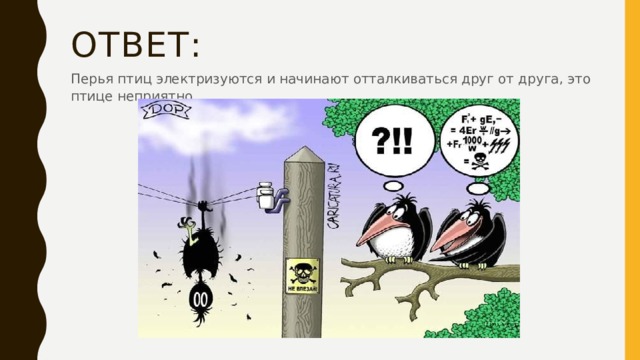 Ответ: Перья птиц электризуются и начинают отталкиваться друг от друга, это птице неприятно. 