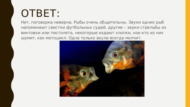 Ответ: Нет, поговорка неверна. Рыбы очень общительны. Звуки одних рыб напоминают свистки футбольных судей, другие – звуки стрельбы из винтовки или пистолета, некоторые издают хлопки, кое-кто из них шумит, как мотоцикл. Одна только акула всегда молчит. 