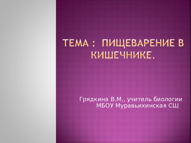 Грядкина В.М., учитель биологии МБОУ Муравьихинская СШ 
