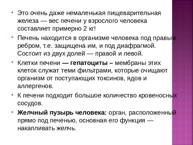 Это очень даже немаленькая пищеварительная железа — вес печени у взрослого человека составляет примерно 2 кг! Печень находится в организме человека под правым ребром, т.е. защищена им, и под диафрагмой. Состоит из двух долей — правой и левой. Клетки печени  — гепатоциты –  мембраны этих клеток служат теми фильтрами, которые очищают организм от поступающих токсинов, ядов и аллергенов. К печени подходит большое количество кровеносных сосудов. Желчный пузырь человека:  орган, расположенный прямо под печенью, основная его функция — накапливать желчь. 