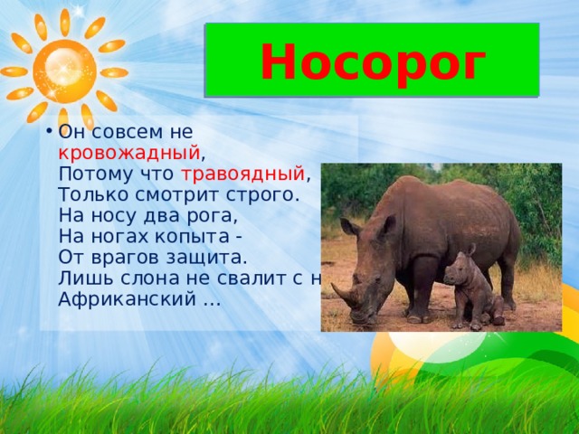 Носорог Он совсем не кровожадный ,   Потому что травоядный ,   Только смотрит строго.   На носу два рога,   На ногах копыта -   От врагов защита.   Лишь слона не свалит с ног   Африканский ... 