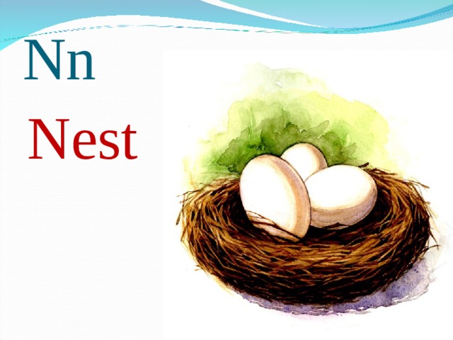 Nn Nest 