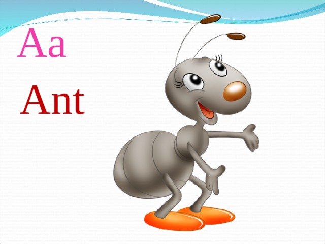 Aa Ant 