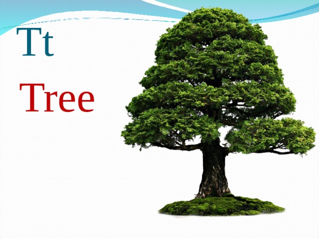 Tt Tree 