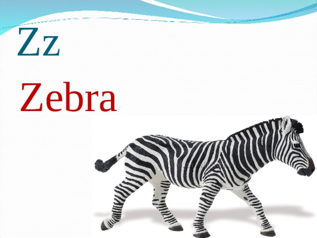 Zz Zebra 