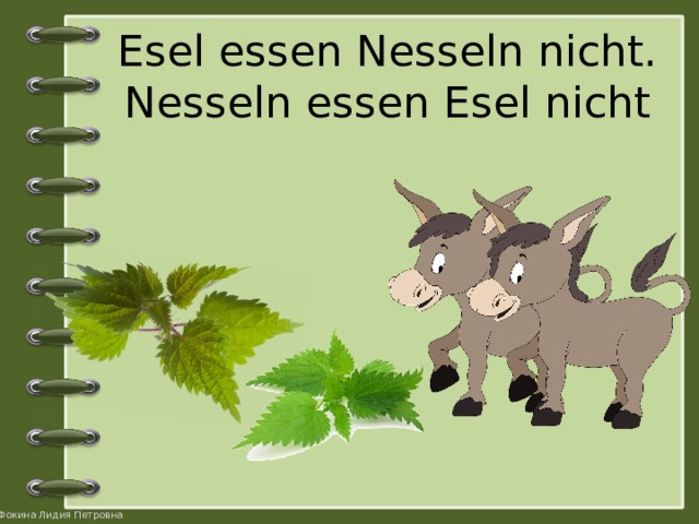 Esel essen Nesseln nicht.  Nesseln essen Esel nicht   