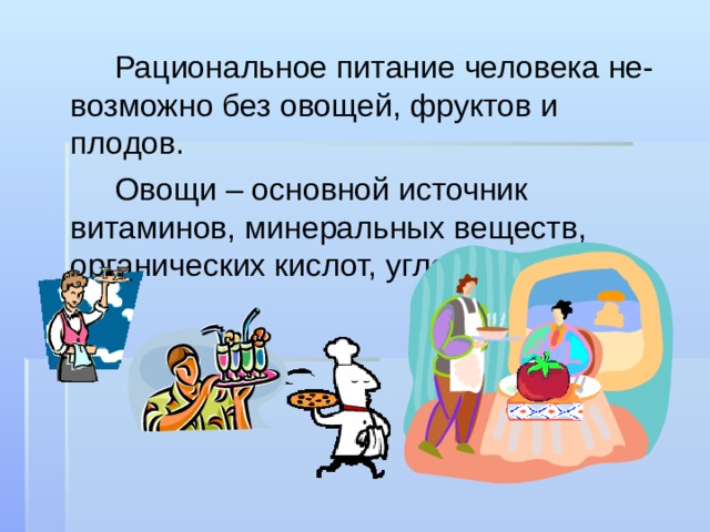   Рациональное питание человека не-возможно без овощей, фруктов и плодов.   Овощи – основной источник витаминов, минеральных веществ, органических кислот, углеводов. 
