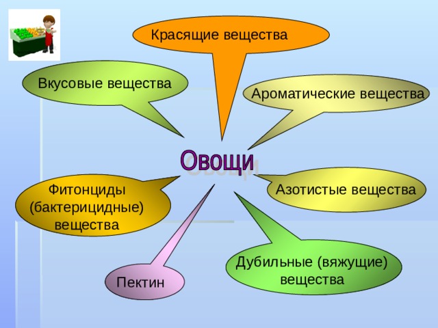 Красящие вещества Вкусовые вещества Ароматические вещества Азотистые вещества Фитонциды (бактерицидные) вещества Дубильные (вяжущие) вещества Пектин 