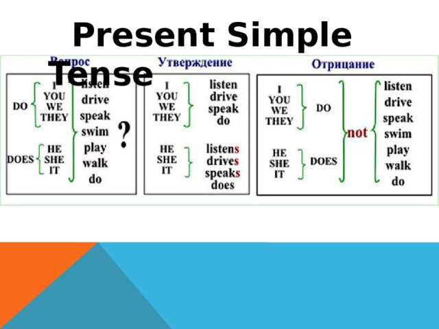  Present Simple Tense 