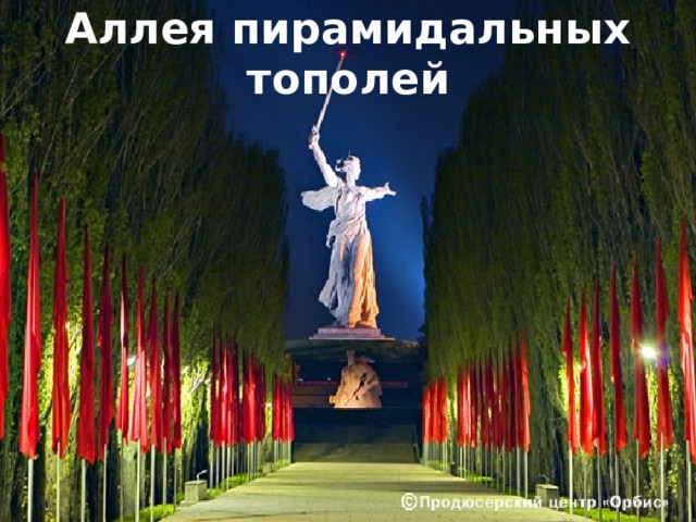 Аллея пирамидальных тополей 