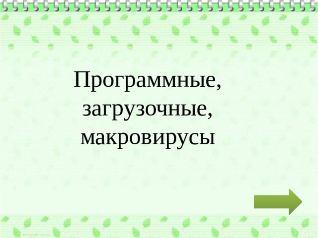 Программные, загрузочные, макровирусы 