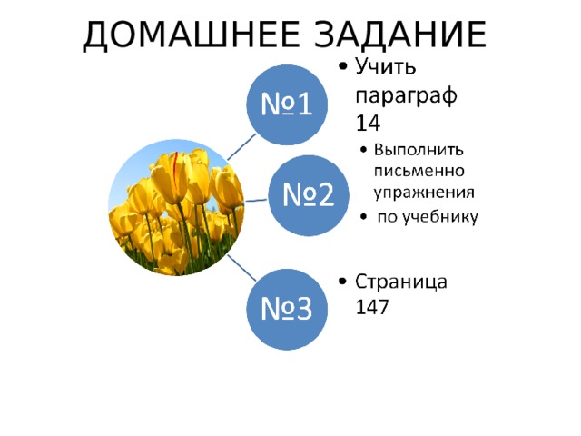 ДОМАШНЕЕ ЗАДАНИЕ   