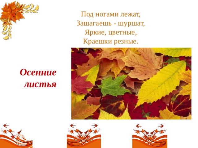 Под ногами лежат,  Зашагаешь - шуршат,  Яркие, цветные,  Краешки резные.   Осенние листья 