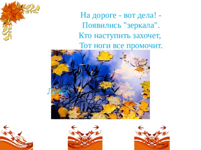 На дороге - вот дела! -  Появились 