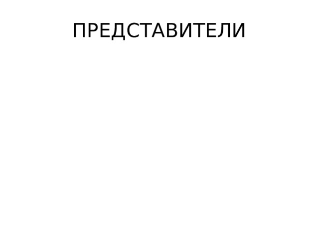 ПРЕДСТАВИТЕЛИ 