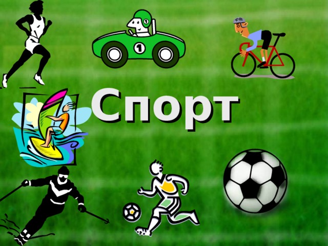 Спорт 