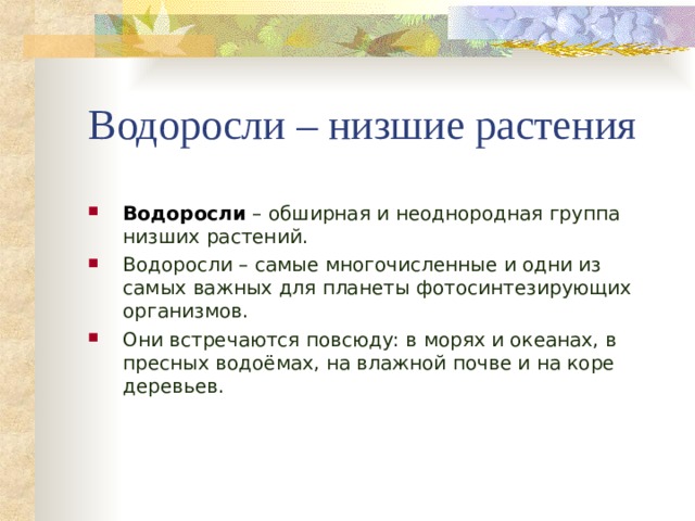 Водоросли – низшие растения Водоросли – обширная и неоднородная группа низших растений. Водоросли – самые многочисленные и одни из самых важных для планеты фотосинтезирующих организмов. Они встречаются повсюду: в морях и океанах, в пресных водоёмах, на влажной почве и на коре деревьев.  