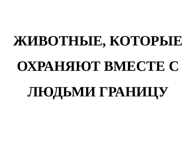 ЖИВОТНЫЕ, КОТОРЫЕ ОХРАНЯЮТ ВМЕСТЕ С ЛЮДЬМИ ГРАНИЦУ 