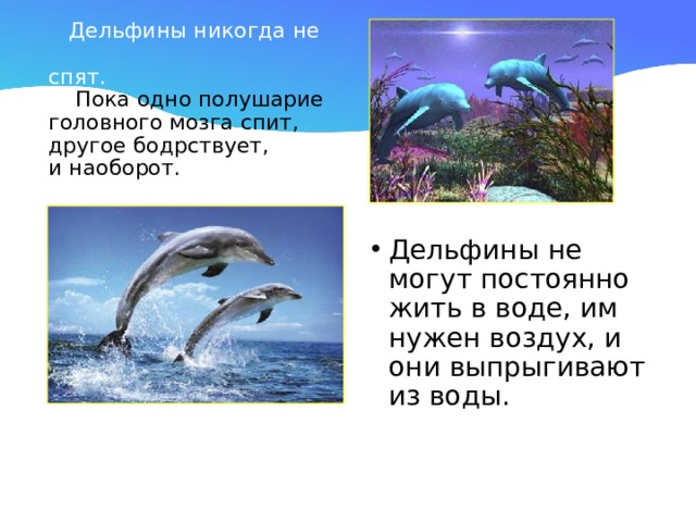  Дельфины никогда не  спят.  Пока одно полушарие  головного мозга спит,  другое бодрствует,  и наоборот.   Дельфины не могут постоянно жить в воде, им нужен воздух, и они выпрыгивают из воды. 